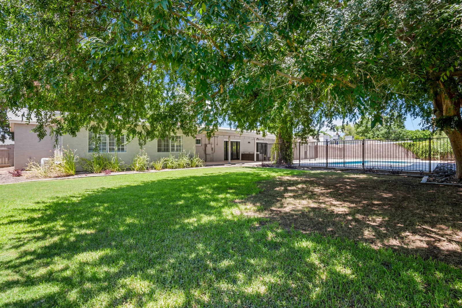 Grass yard with a mature tree and dappled afternoon shade.