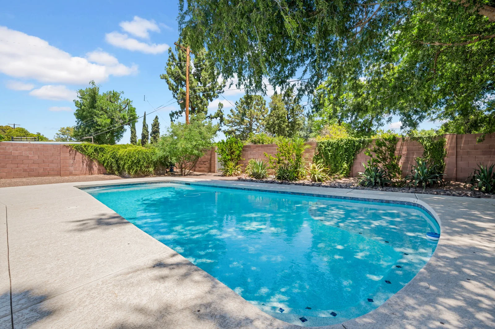 Backyard pool with a brick wall, tall hedge and old trees behind it.